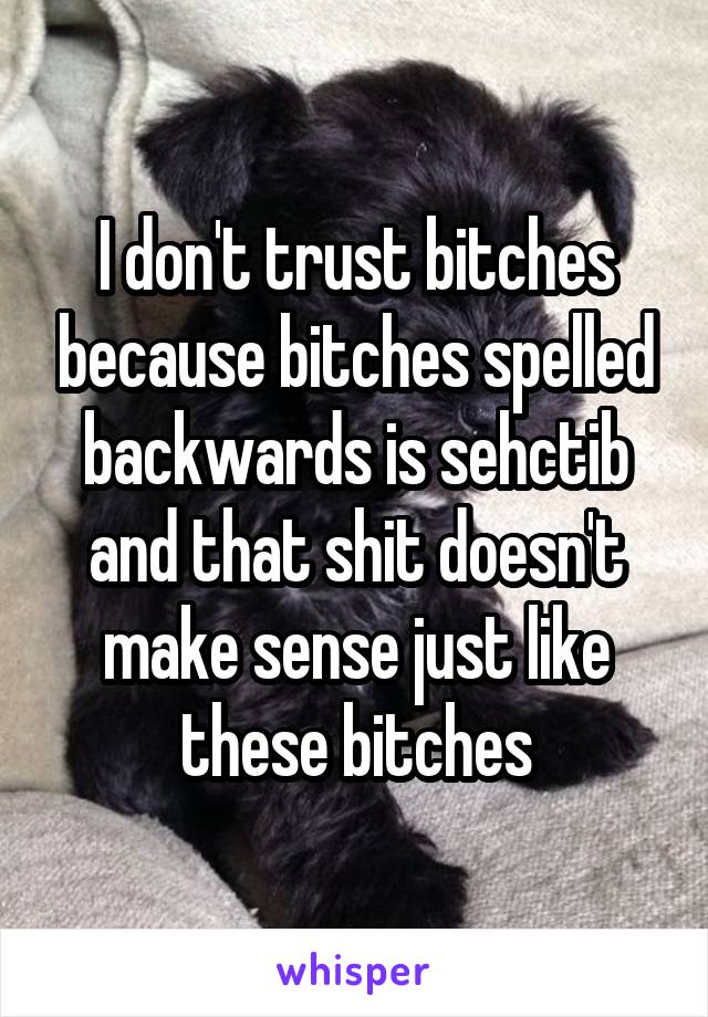 I don't trust bitches because bitches spelled backwards is sehctib and that shit doesn't make sense just like these bitches