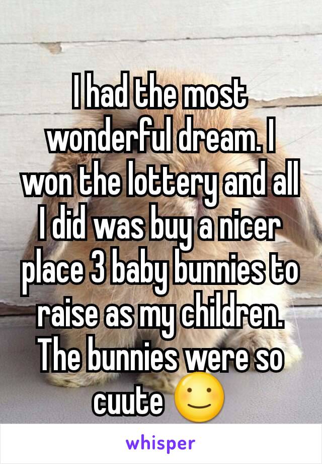 I had the most wonderful dream. I won the lottery and all I did was buy a nicer place 3 baby bunnies to raise as my children. The bunnies were so cuute ☺