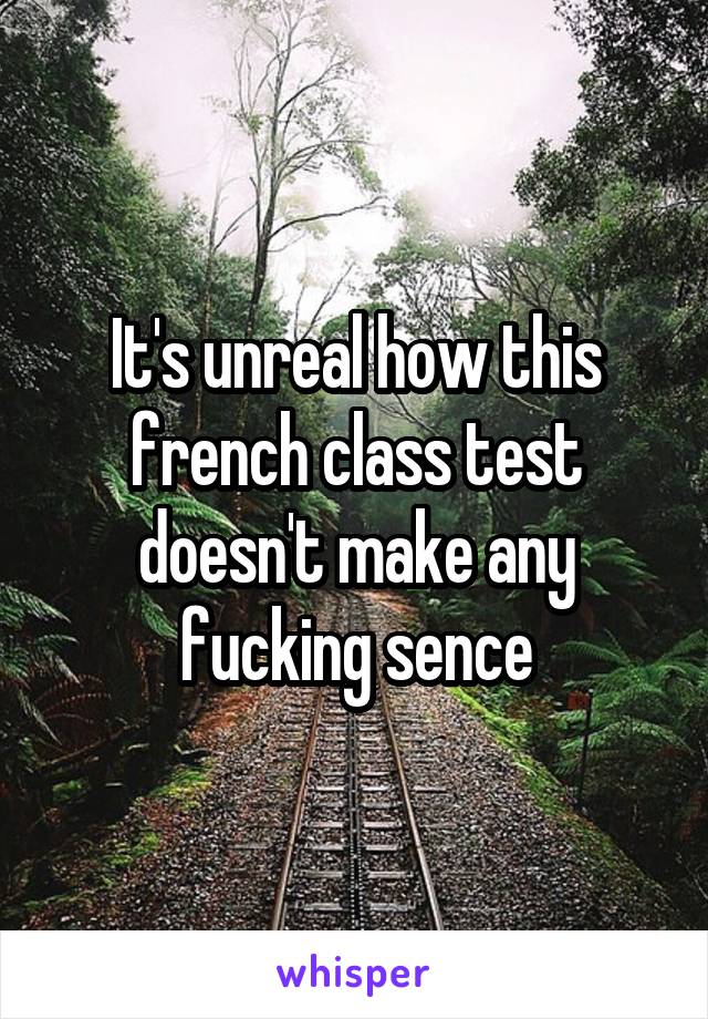 It's unreal how this french class test doesn't make any fucking sence