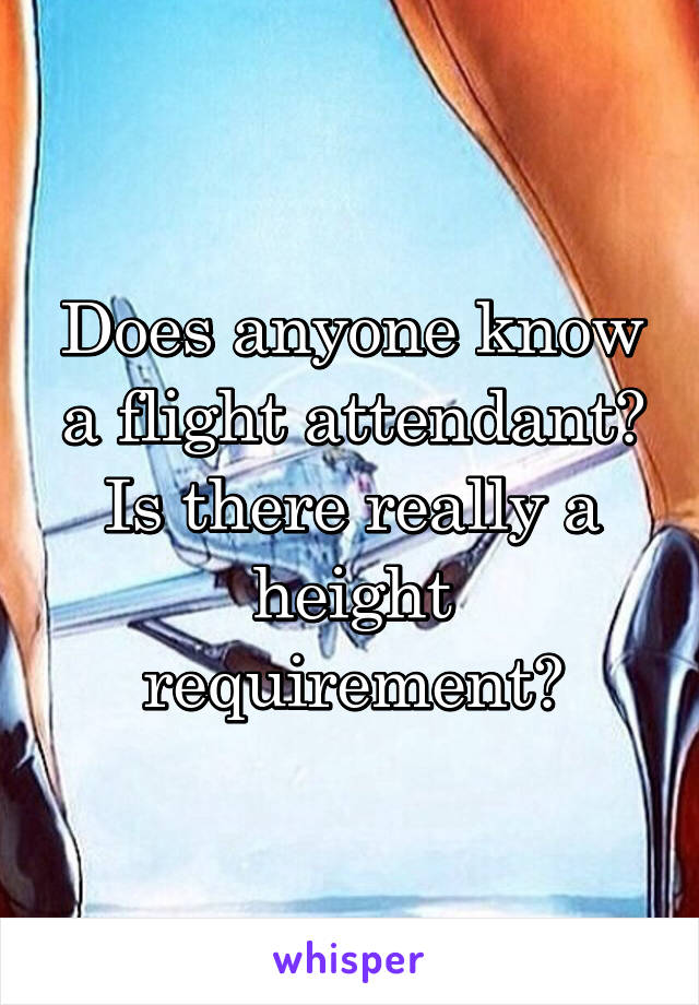 Does anyone know a flight attendant? Is there really a height requirement?