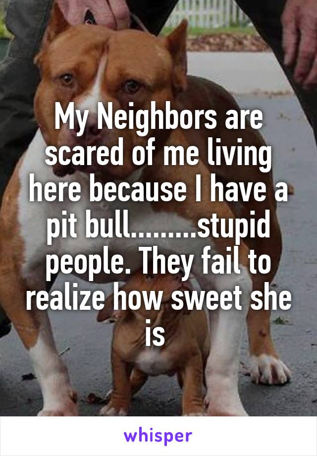 My Neighbors are scared of me living here because I have a pit bull.........stupid people. They fail to realize how sweet she is 