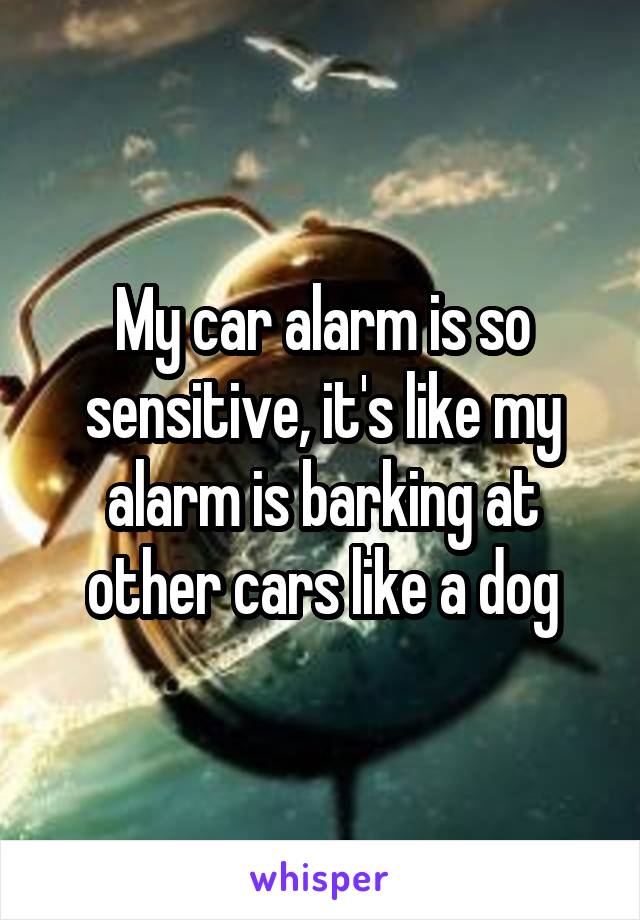 My car alarm is so sensitive, it's like my alarm is barking at other cars like a dog