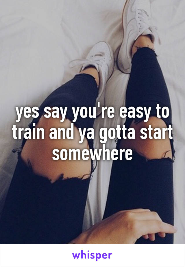 yes say you're easy to train and ya gotta start somewhere