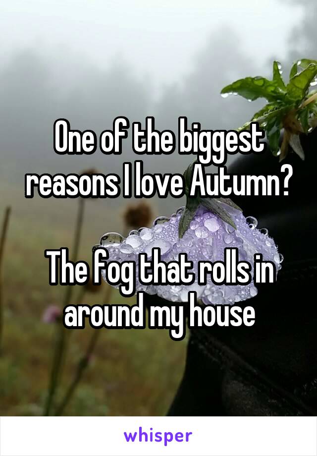 One of the biggest reasons I love Autumn?

The fog that rolls in around my house