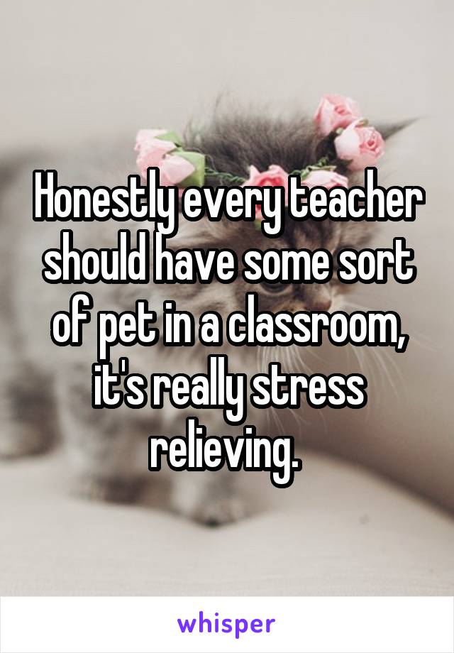 Honestly every teacher should have some sort of pet in a classroom, it's really stress relieving. 