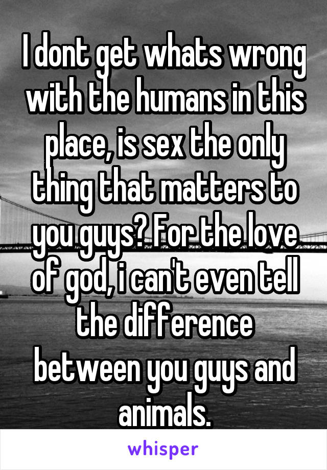 I dont get whats wrong with the humans in this place, is sex the only thing that matters to you guys? For the love of god, i can't even tell the difference between you guys and animals.
