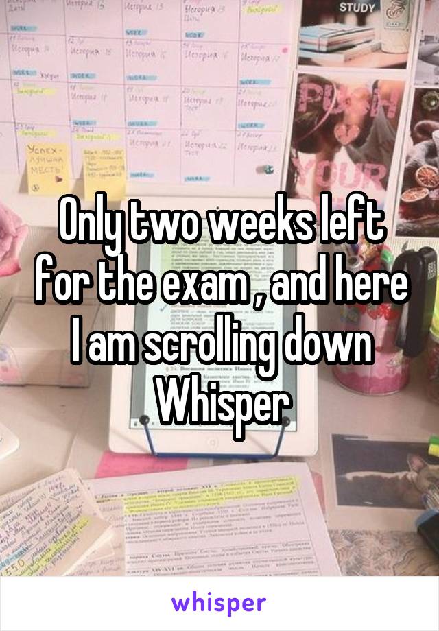 Only two weeks left for the exam , and here I am scrolling down Whisper