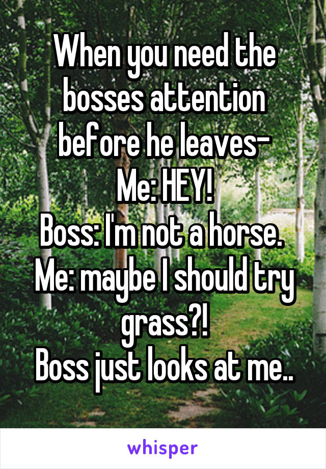 When you need the bosses attention before he leaves-
Me: HEY!
Boss: I'm not a horse. 
Me: maybe I should try grass?!
Boss just looks at me..
