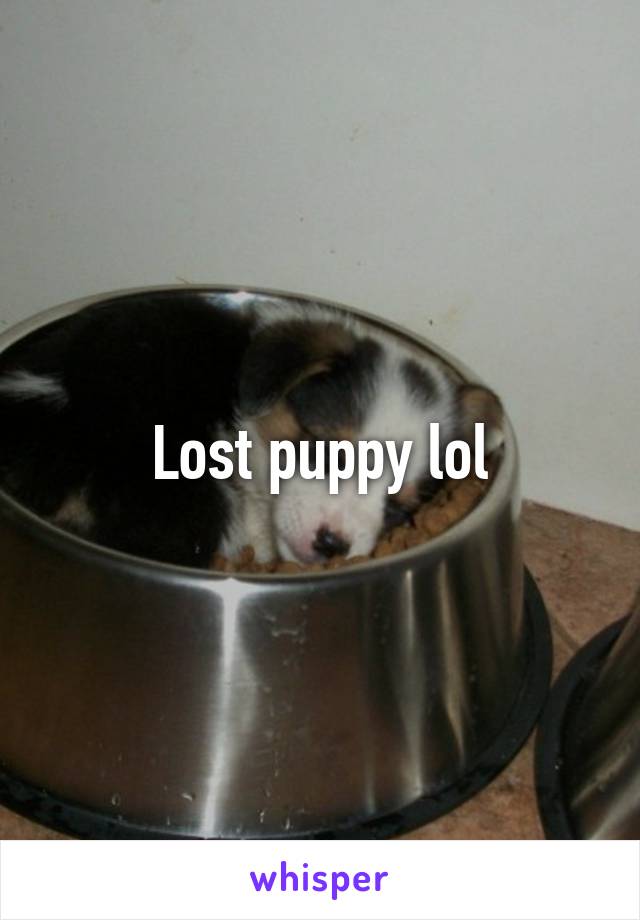 Lost puppy lol