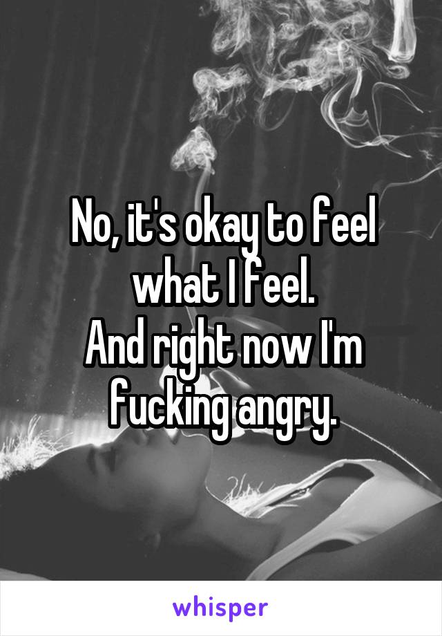 No, it's okay to feel what I feel.
And right now I'm fucking angry.