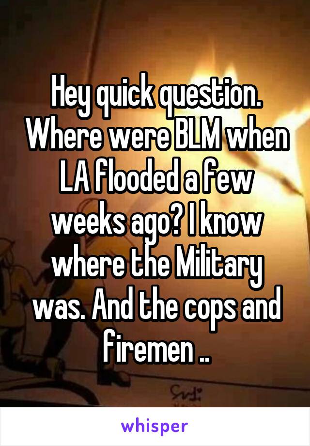 Hey quick question. Where were BLM when LA flooded a few weeks ago? I know where the Military was. And the cops and firemen ..