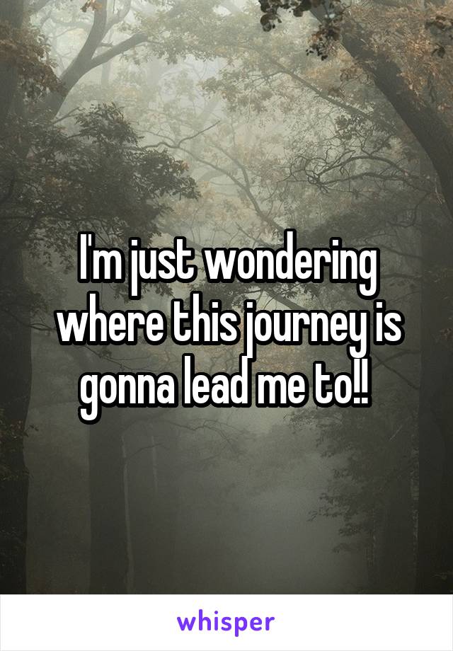 I'm just wondering where this journey is gonna lead me to!! 