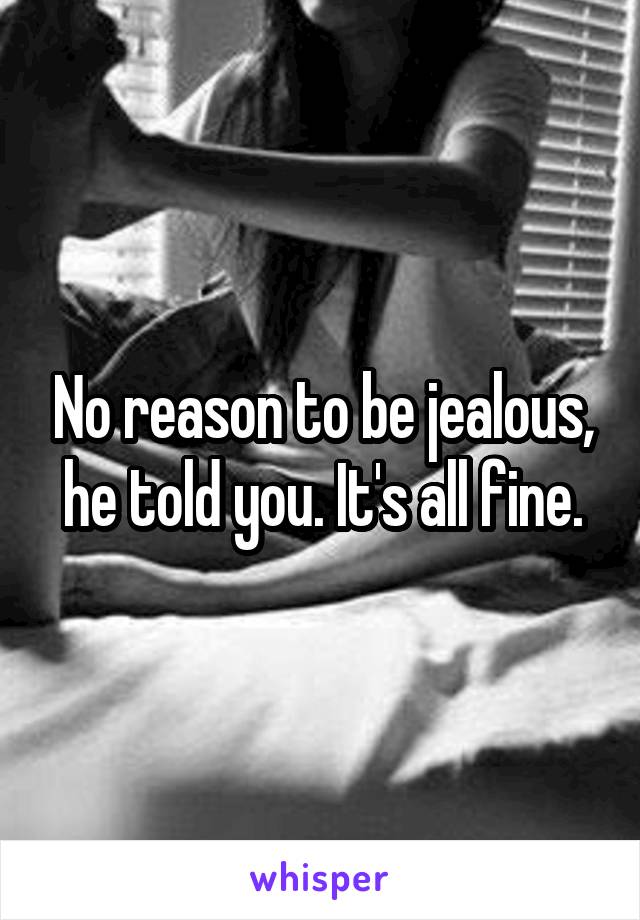 No reason to be jealous,
he told you. It's all fine.
