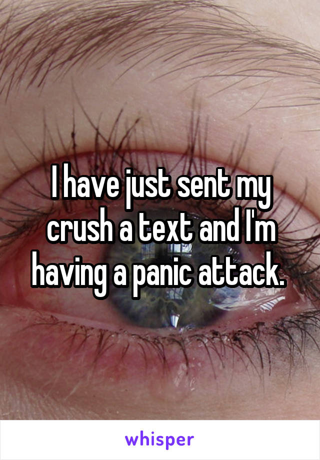 I have just sent my crush a text and I'm having a panic attack. 