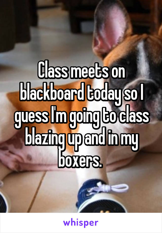 Class meets on blackboard today so I guess I'm going to class blazing up and in my boxers. 