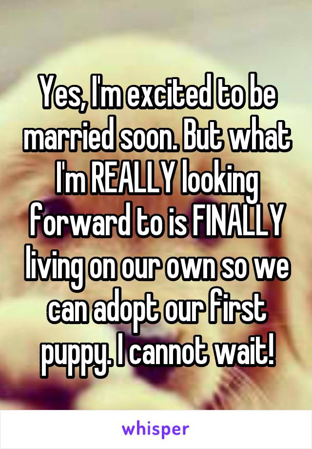 Yes, I'm excited to be married soon. But what I'm REALLY looking forward to is FINALLY living on our own so we can adopt our first puppy. I cannot wait!