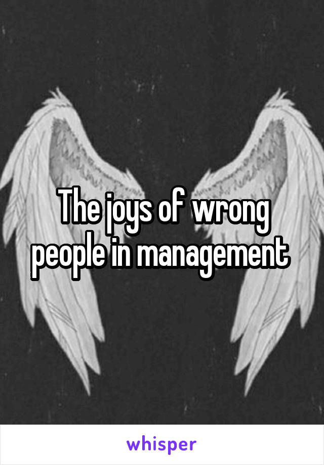 The joys of wrong people in management 