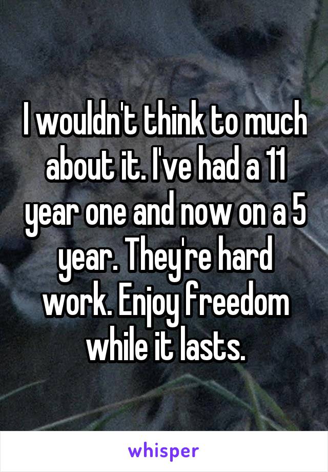 I wouldn't think to much about it. I've had a 11 year one and now on a 5 year. They're hard work. Enjoy freedom while it lasts.