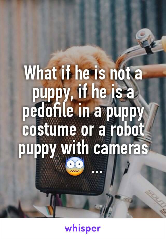 What if he is not a puppy, if he is a pedofile in a puppy costume or a robot puppy with cameras😨 ...