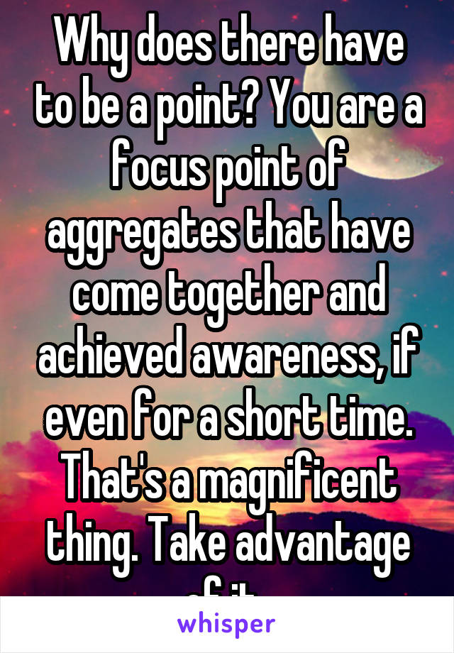 Why does there have to be a point? You are a focus point of aggregates that have come together and achieved awareness, if even for a short time. That's a magnificent thing. Take advantage of it. 