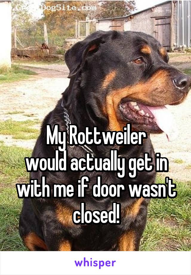 


My Rottweiler
would actually get in with me if door wasn't closed!