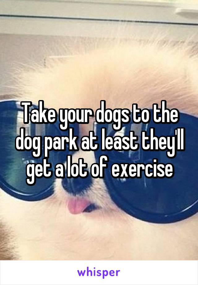 Take your dogs to the dog park at least they'll get a lot of exercise
