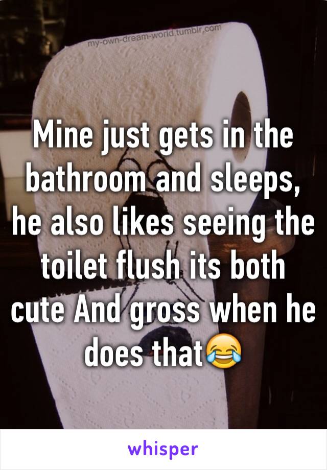 Mine just gets in the bathroom and sleeps, he also likes seeing the toilet flush its both cute And gross when he does that😂