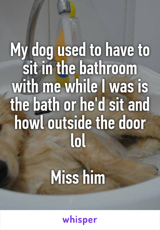 My dog used to have to sit in the bathroom with me while I was is the bath or he'd sit and howl outside the door lol 

Miss him 