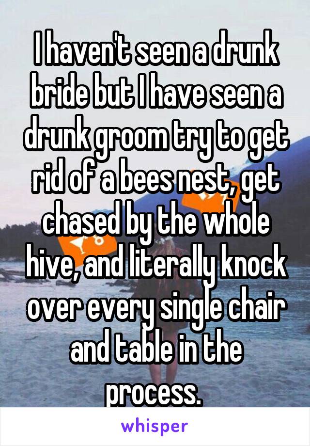 I haven't seen a drunk bride but I have seen a drunk groom try to get rid of a bees nest, get chased by the whole hive, and literally knock over every single chair and table in the process. 