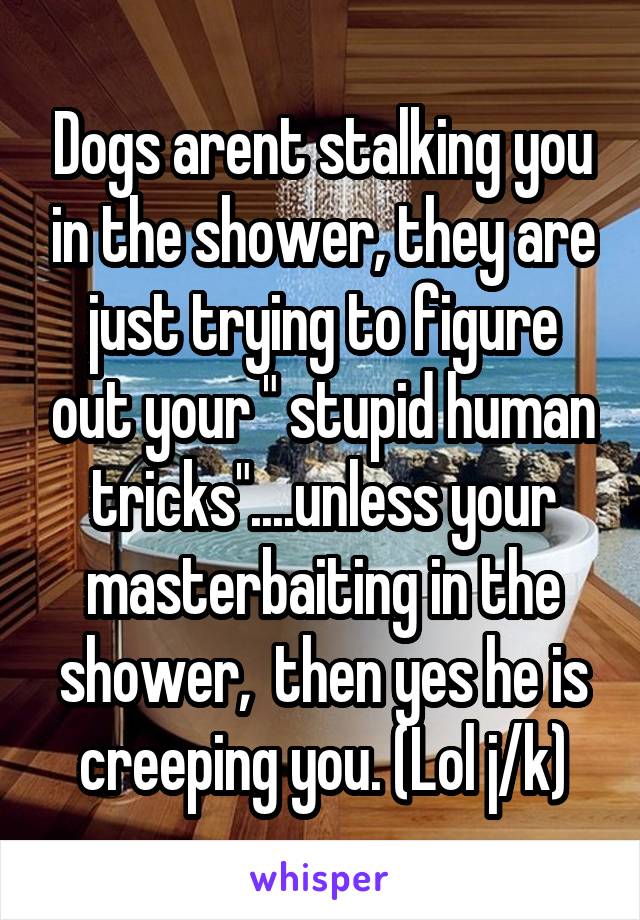 Dogs arent stalking you in the shower, they are just trying to figure out your " stupid human tricks"....unless your masterbaiting in the shower,  then yes he is creeping you. (Lol j/k)