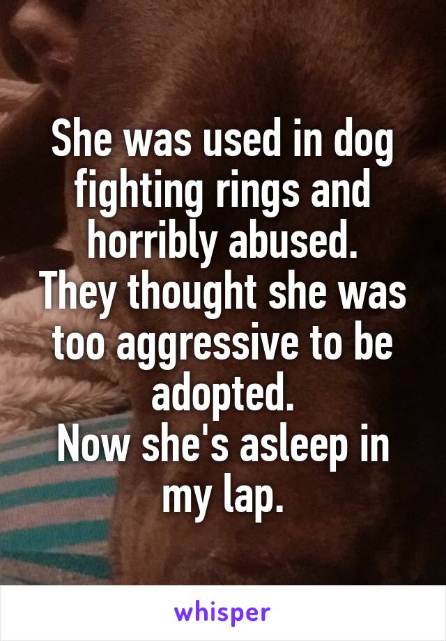 She was used in dog fighting rings and horribly abused.
They thought she was too aggressive to be adopted.
Now she's asleep in my lap.