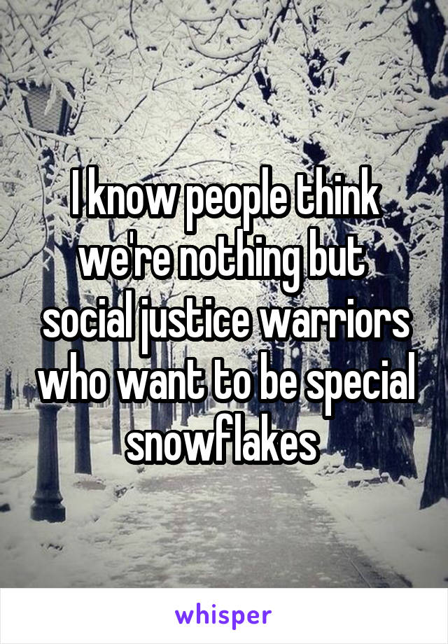 I know people think we're nothing but  social justice warriors who want to be special snowflakes 