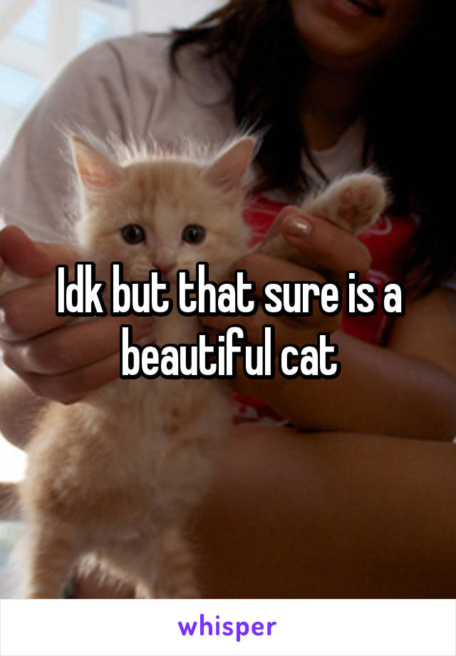 Idk but that sure is a beautiful cat
