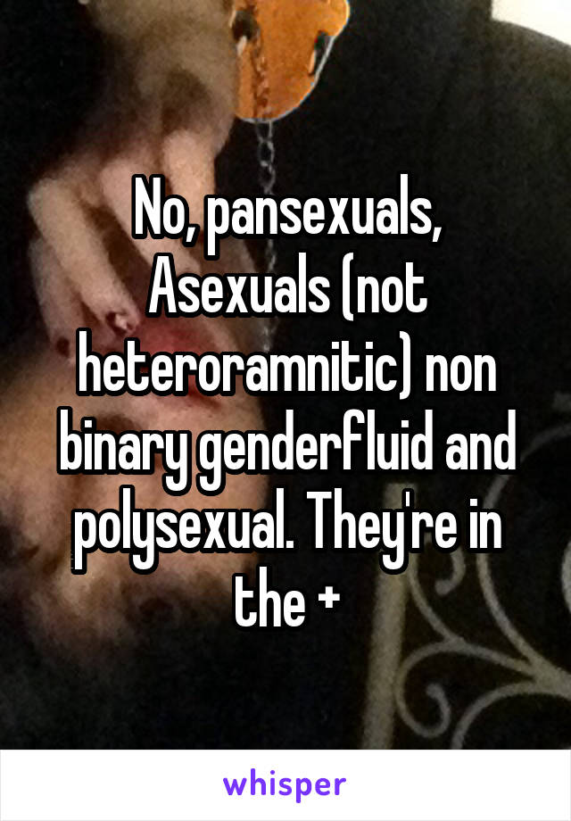 No, pansexuals, Asexuals (not heteroramnitic) non binary genderfluid and polysexual. They're in the +