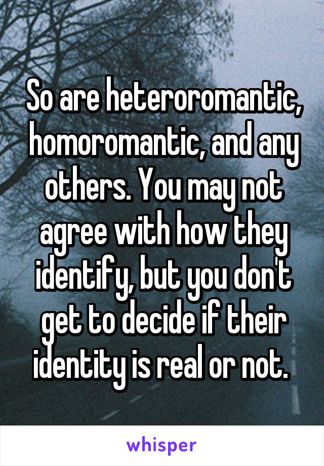 So are heteroromantic, homoromantic, and any others. You may not agree with how they identify, but you don't get to decide if their identity is real or not. 