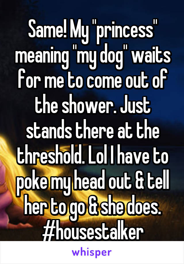 Same! My "princess" meaning "my dog" waits for me to come out of the shower. Just stands there at the threshold. Lol I have to poke my head out & tell her to go & she does. #housestalker