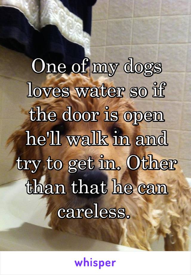 One of my dogs loves water so if the door is open he'll walk in and try to get in. Other than that he can careless. 