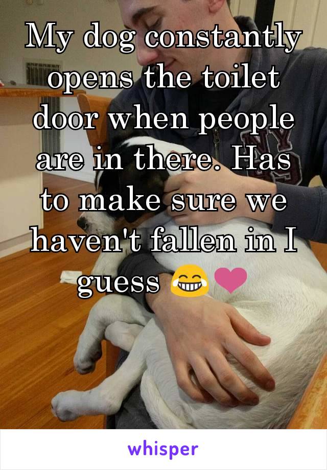 My dog constantly opens the toilet door when people are in there. Has to make sure we haven't fallen in I guess 😂❤️