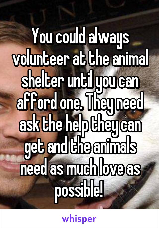 You could always volunteer at the animal shelter until you can afford one. They need ask the help they can get and the animals need as much love as possible! 