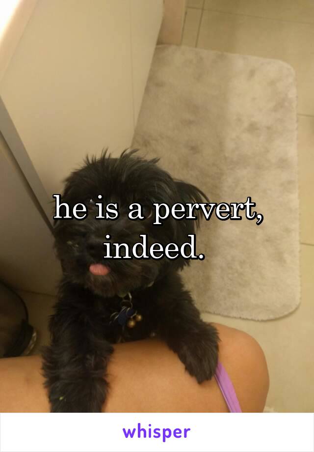 he is a pervert, indeed. 