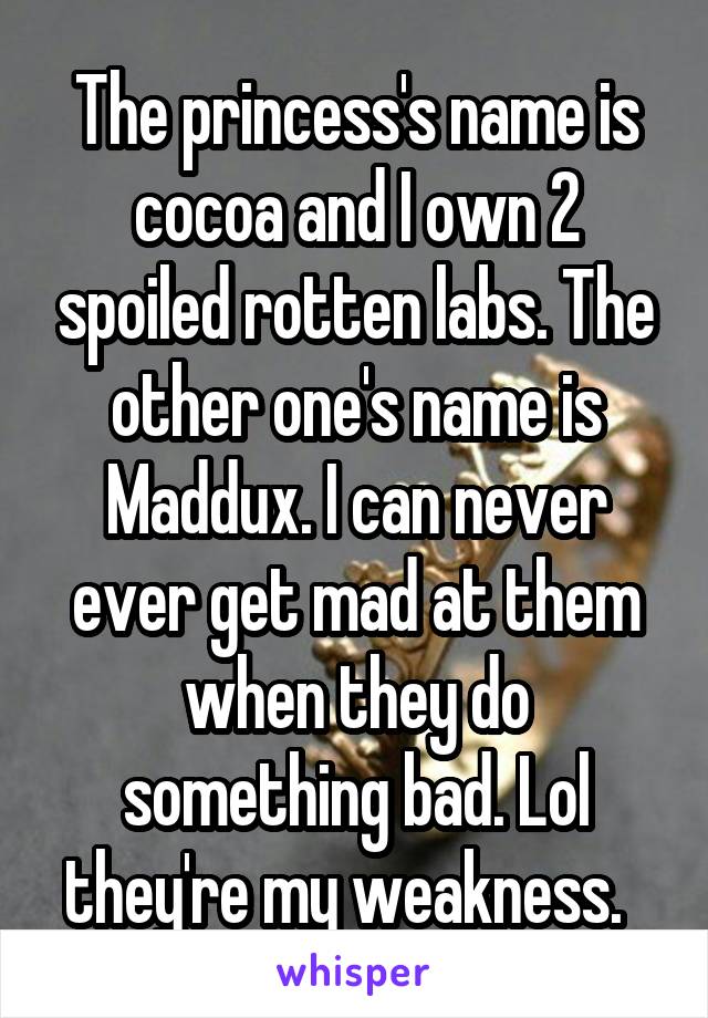 The princess's name is cocoa and I own 2 spoiled rotten labs. The other one's name is Maddux. I can never ever get mad at them when they do something bad. Lol they're my weakness.  