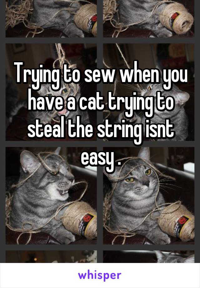 Trying to sew when you have a cat trying to steal the string isnt easy .

