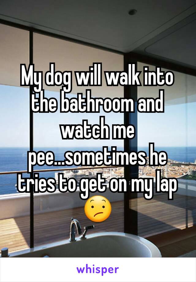 My dog will walk into the bathroom and watch me pee...sometimes he tries to get on my lap 😕