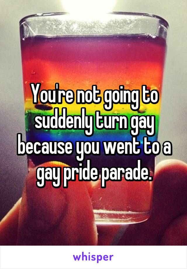You're not going to suddenly turn gay because you went to a gay pride parade.