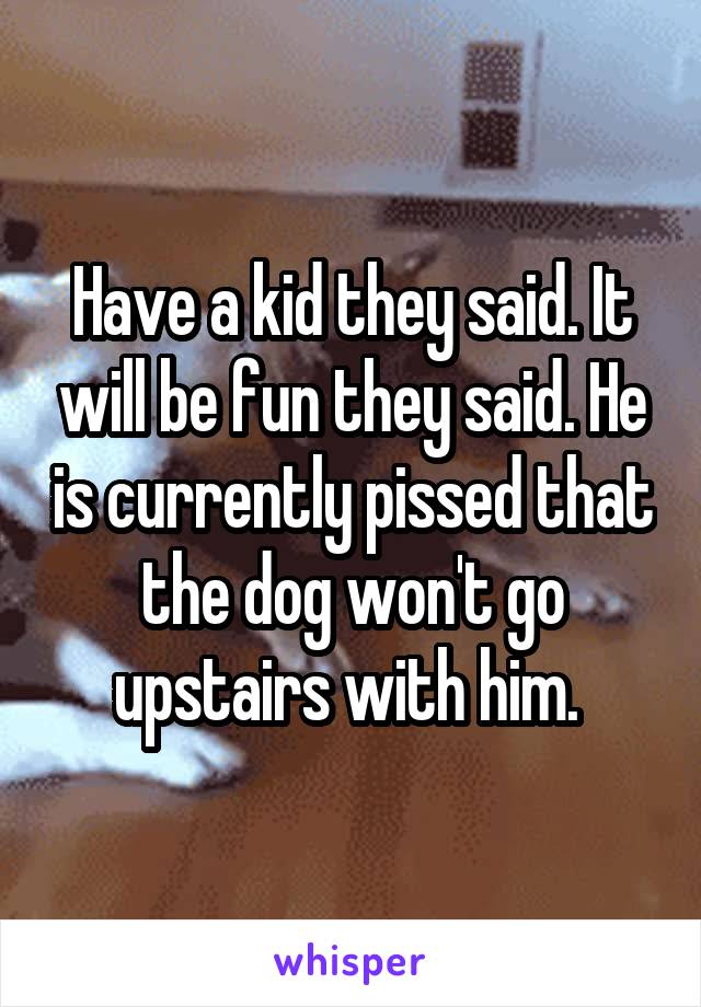 Have a kid they said. It will be fun they said. He is currently pissed that the dog won't go upstairs with him. 