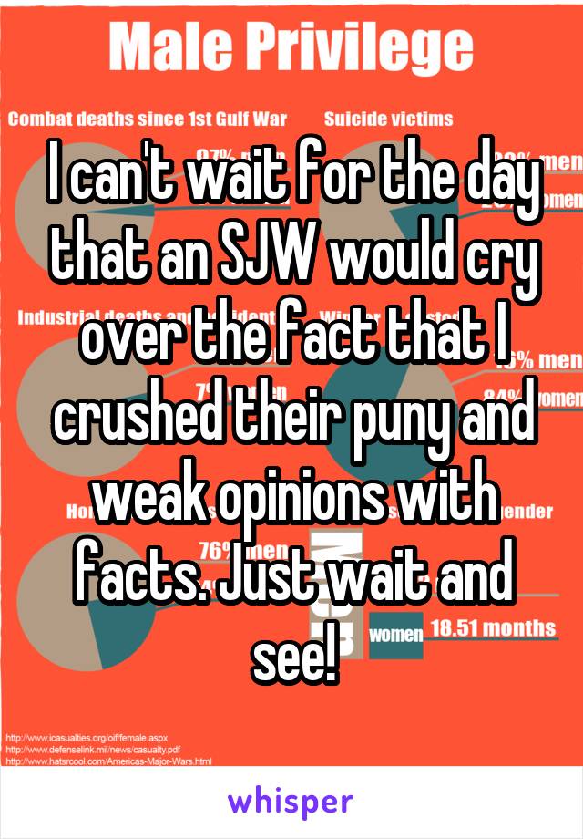 I can't wait for the day that an SJW would cry over the fact that I crushed their puny and weak opinions with facts. Just wait and see!