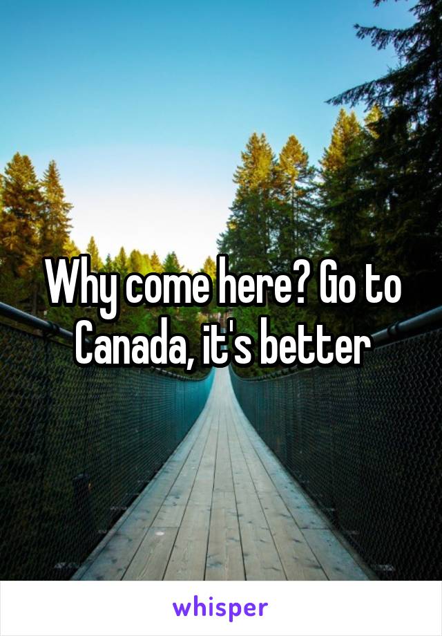 Why come here? Go to Canada, it's better