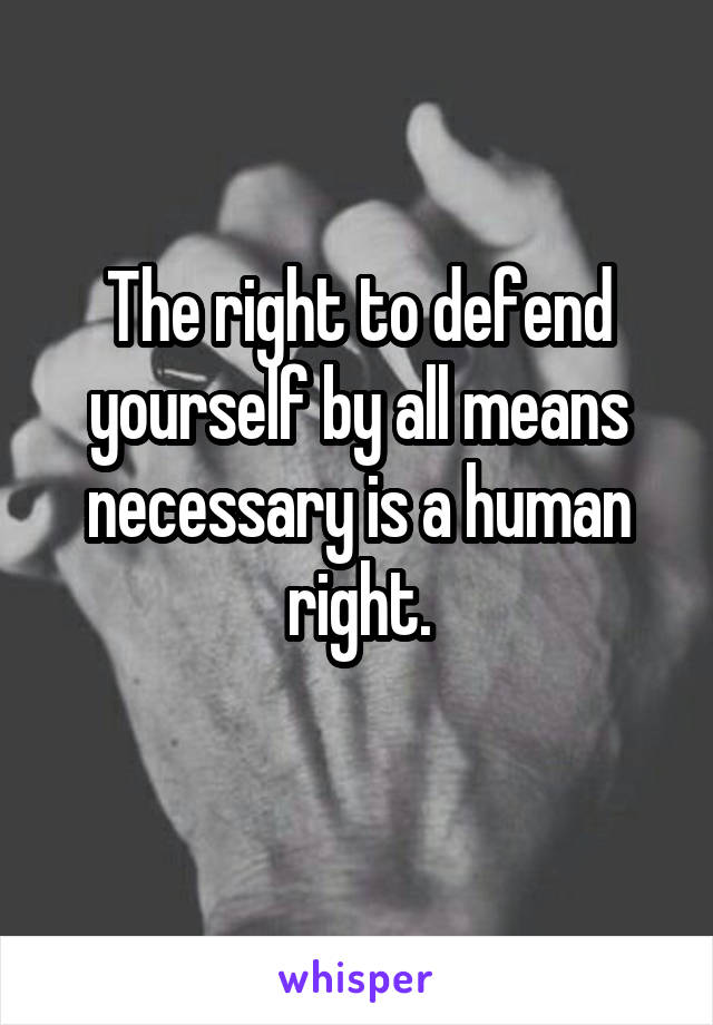 The right to defend yourself by all means necessary is a human right.
