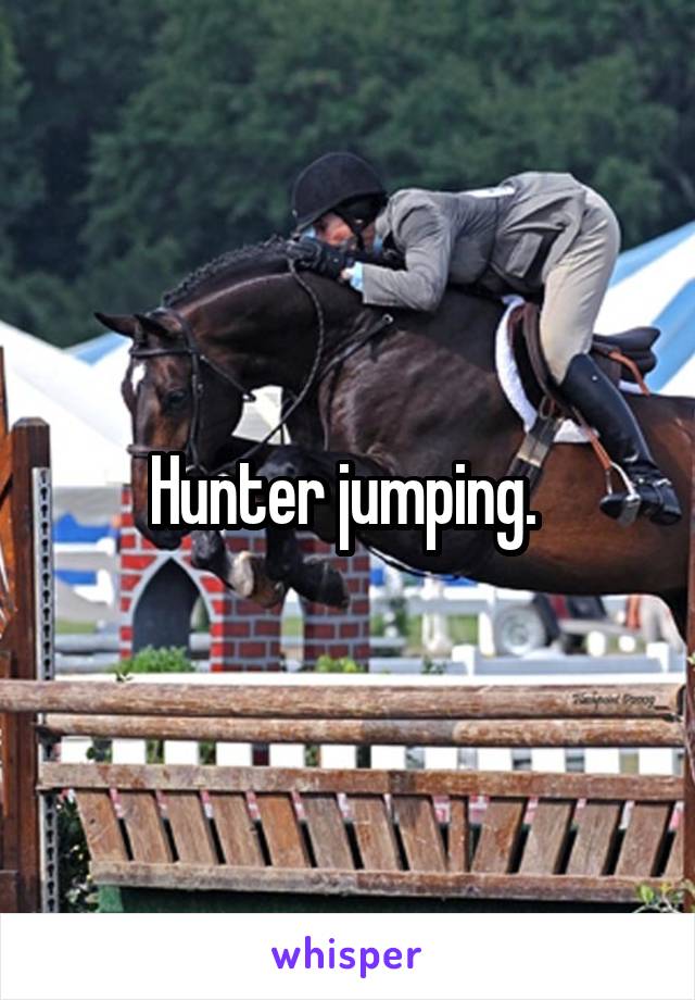 Hunter jumping. 