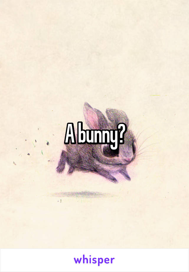 A bunny?